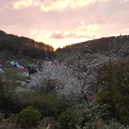 Laila Διαμέρισμα Fischbachtal