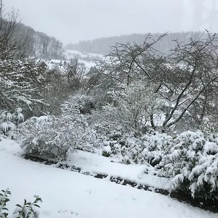 Laila * Fischbachtal